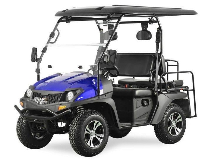 TM TAURUS 200GX EFI UTV